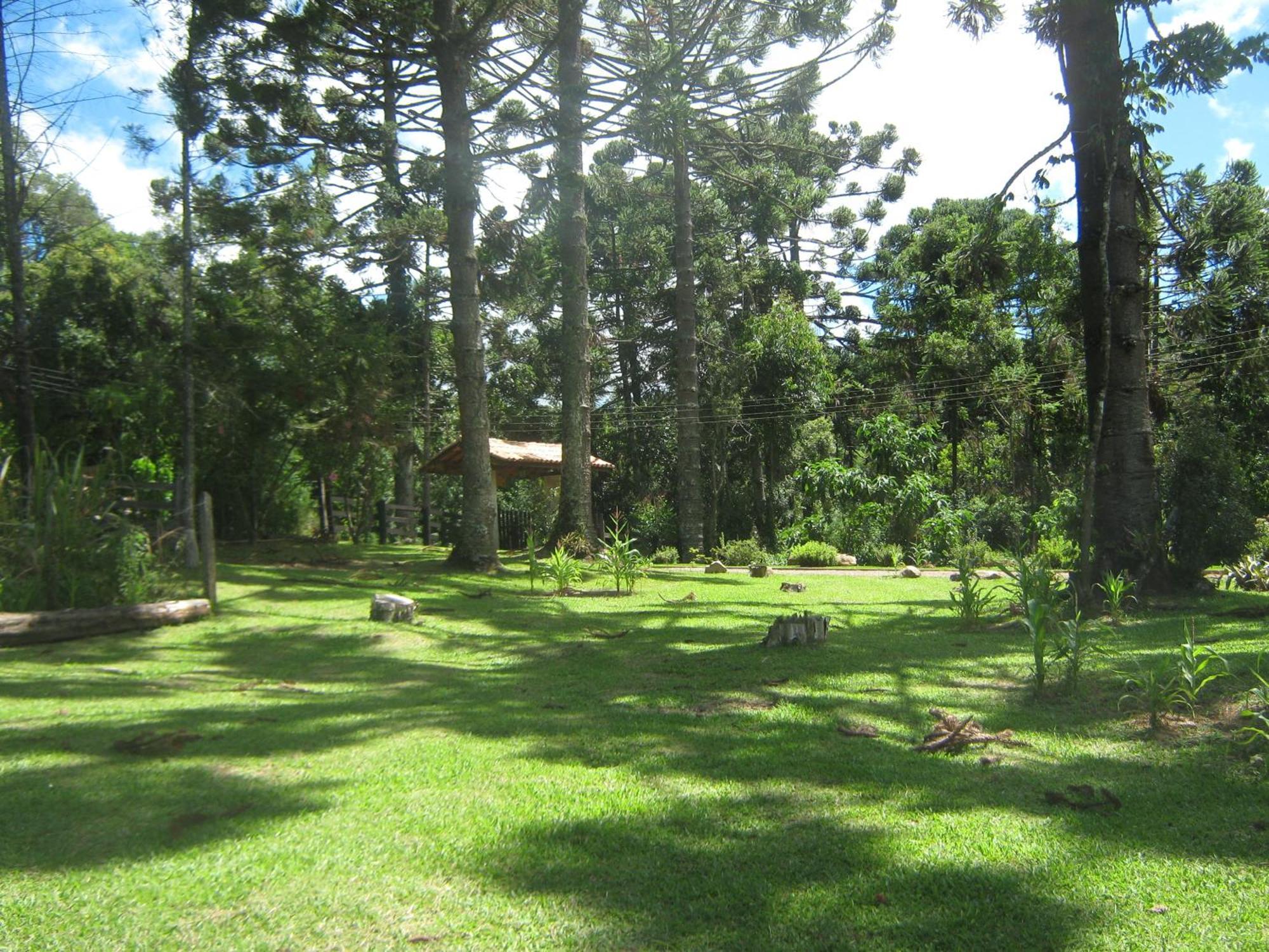 Villa Caminho Do Sol à Monteverde Extérieur photo